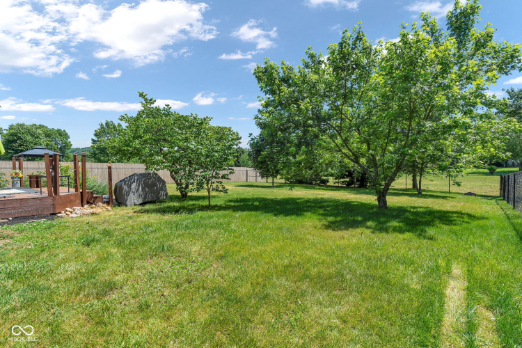 Listing Image 45