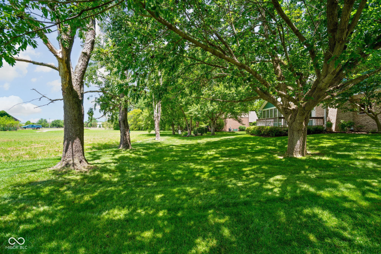 Listing Image 51
