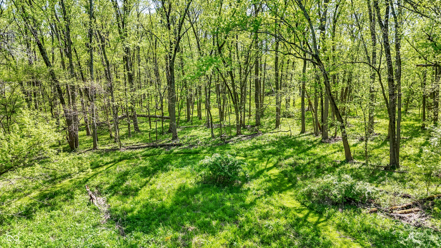 Listing Image 132