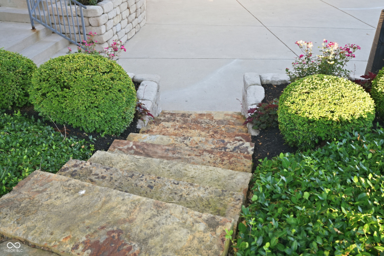 Listing Image 87