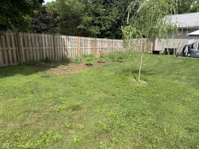 Listing Image 18