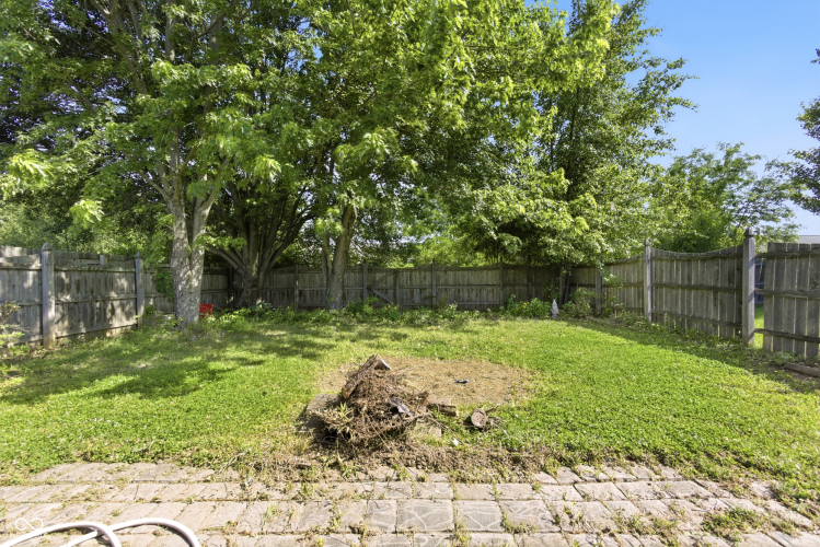 Listing Image 25