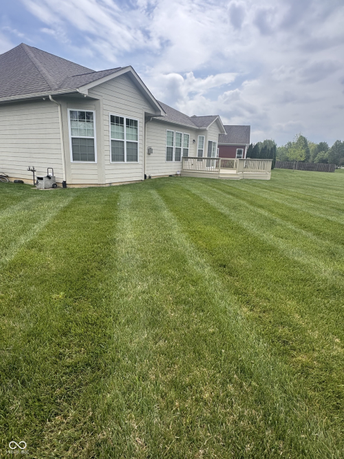 Listing Image 28