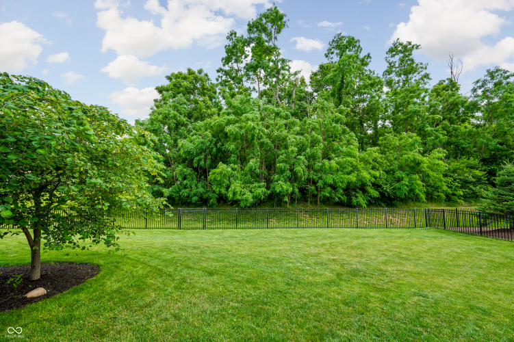 Listing Image 51