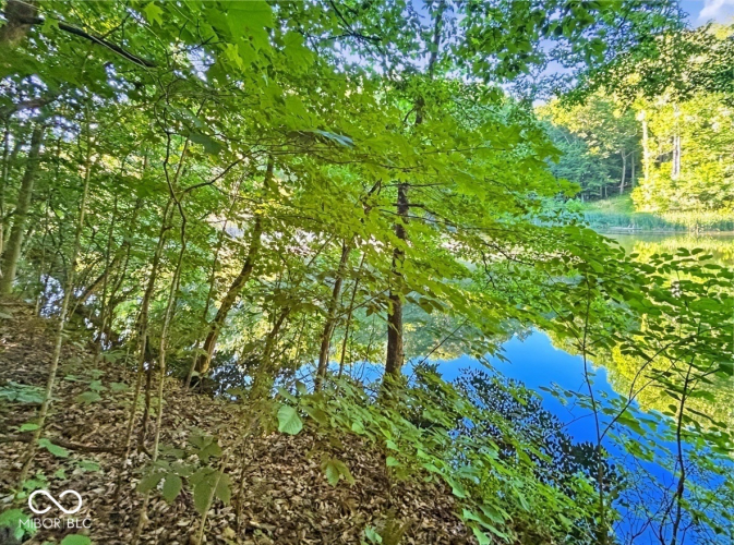 Listing Image 59
