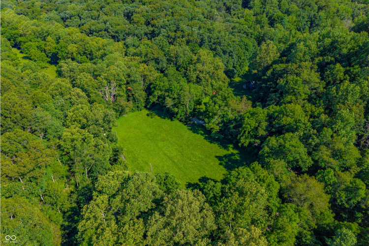 Listing Image 88