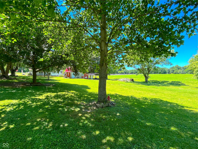 Listing Image 45