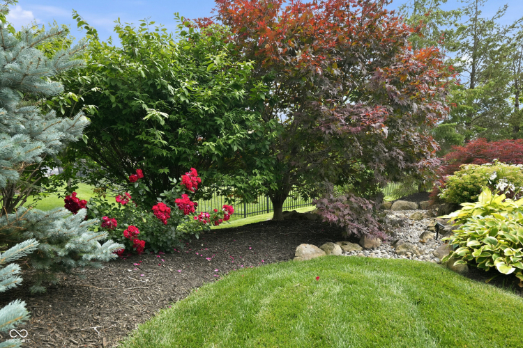 Listing Image 54