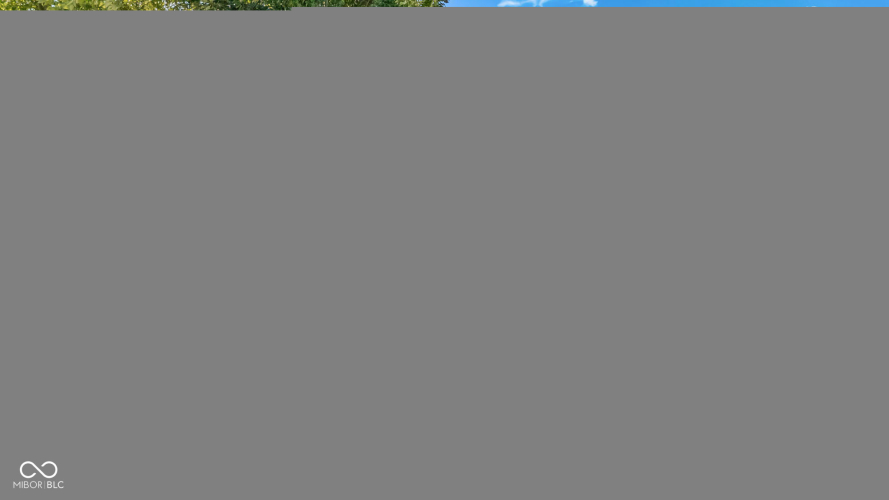 Listing Image 77