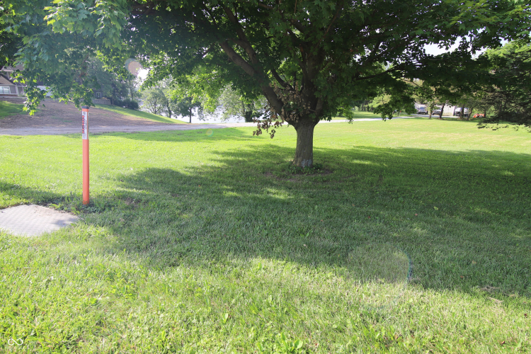 Listing Image 46