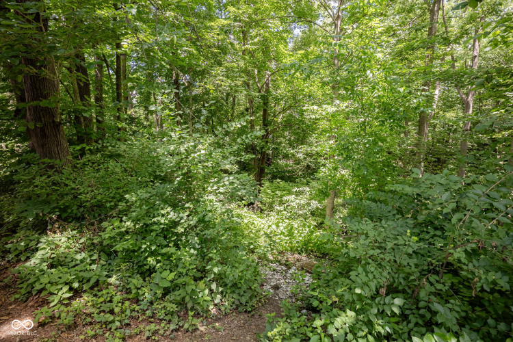 Listing Image 26