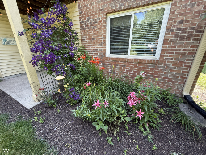 Listing Image 21