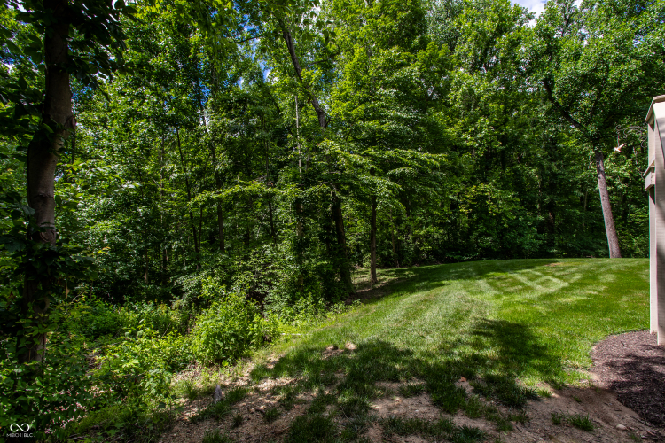 Listing Image 45