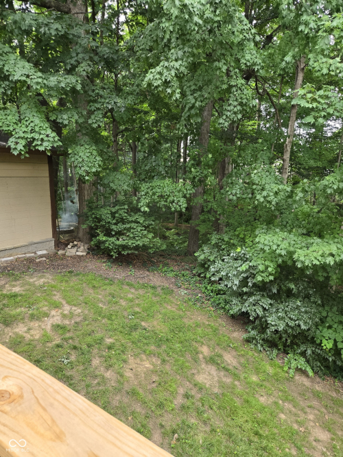 Listing Image 49