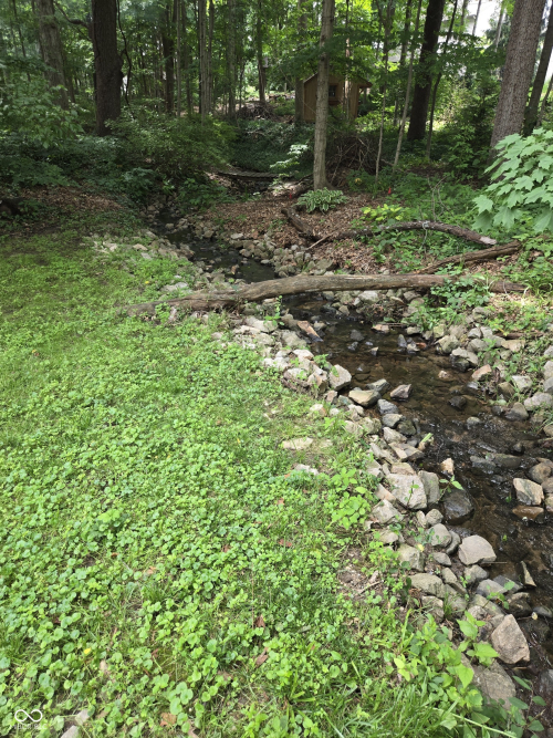 Listing Image 51