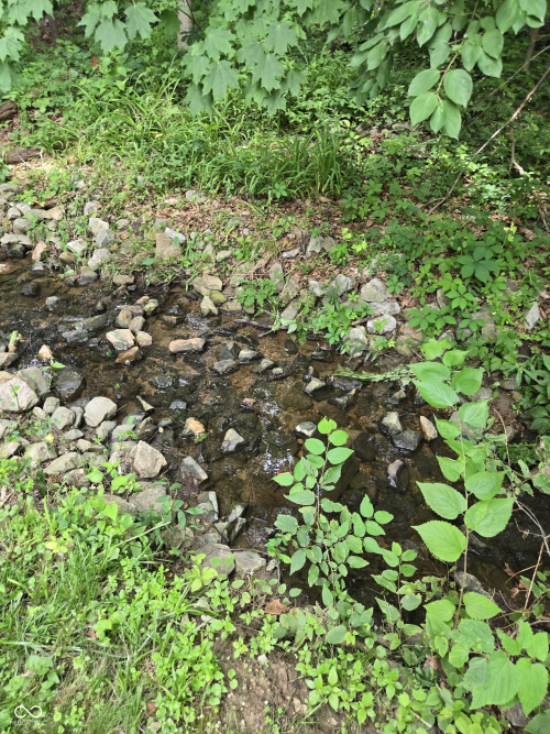 Listing Image 52