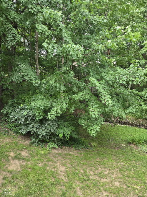 Listing Image 53