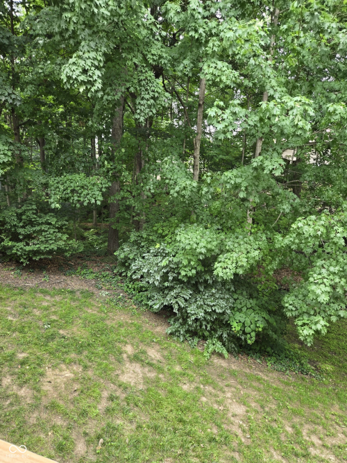 Listing Image 54