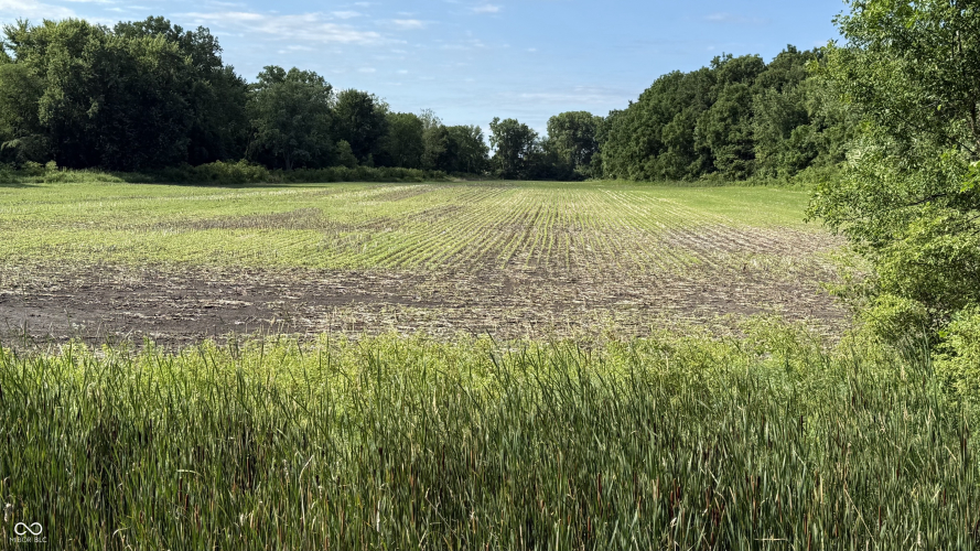 Listing Image 25