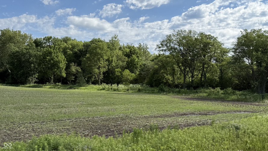 Listing Image 26
