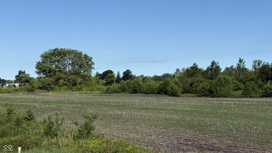 Listing Image 28