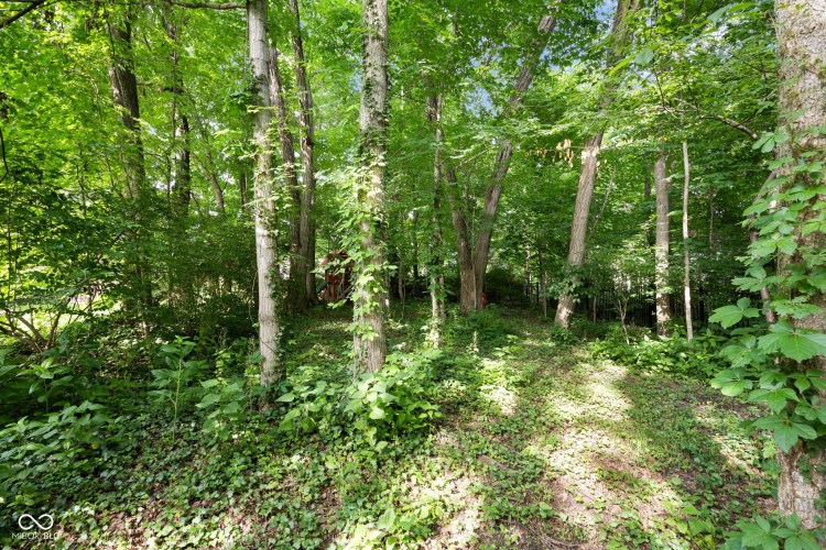 Listing Image 48