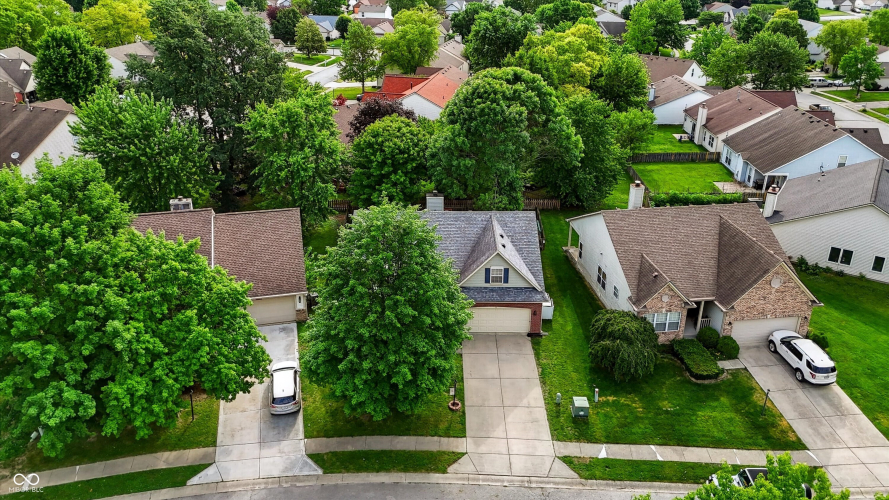 Listing Image 53