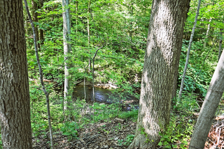 Listing Image 59