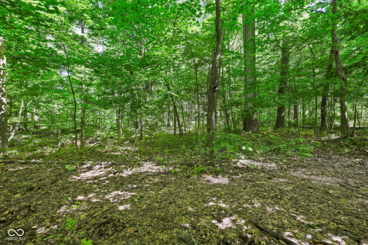 Listing Image 129