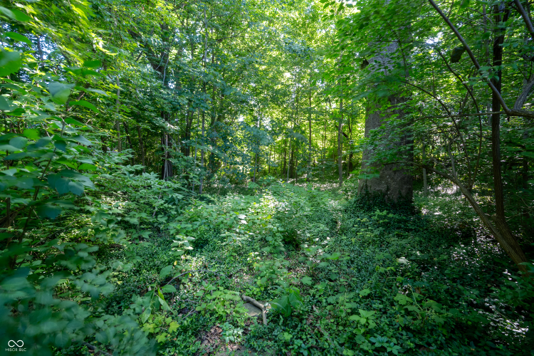 Listing Image 43