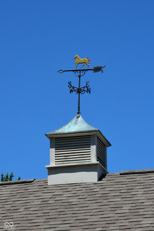 Listing Image 50