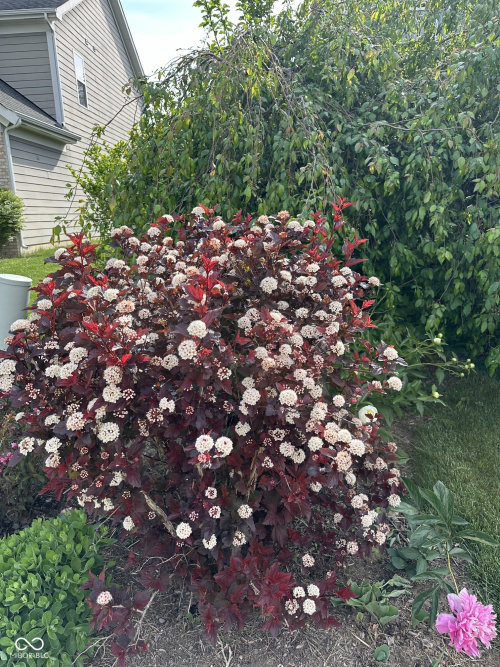 Listing Image 90