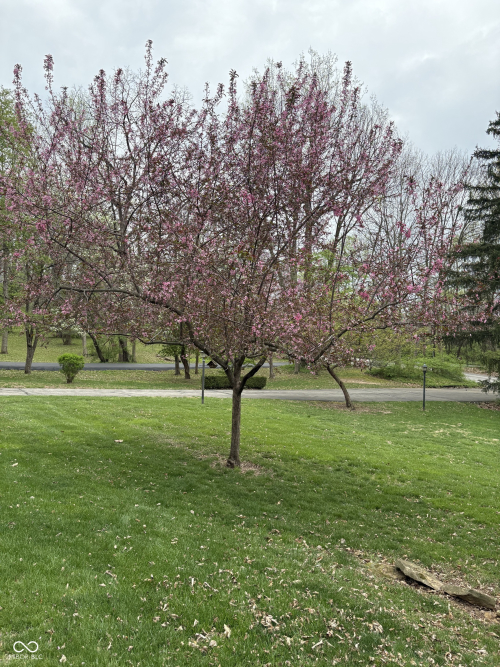 Listing Image 44