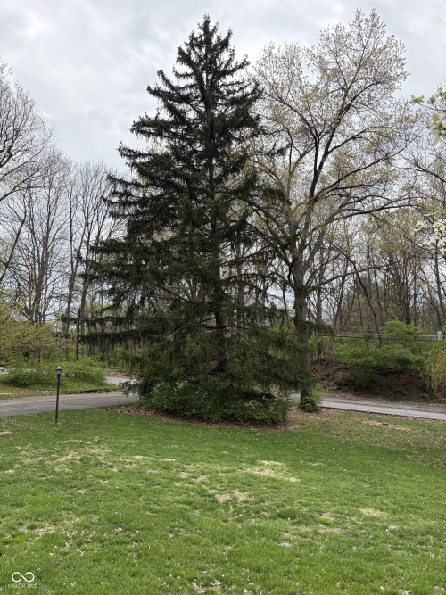 Listing Image 46