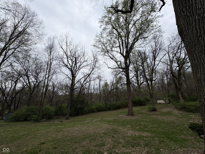 Listing Image 50