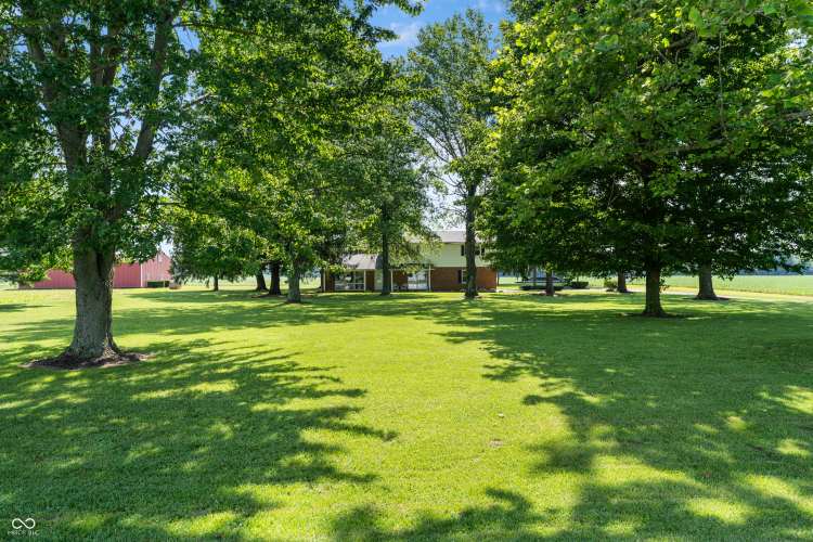 Listing Image 73