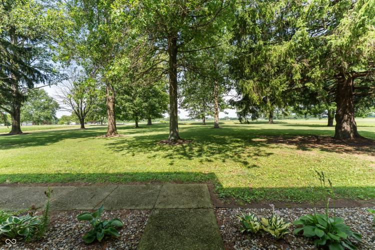 Listing Image 74