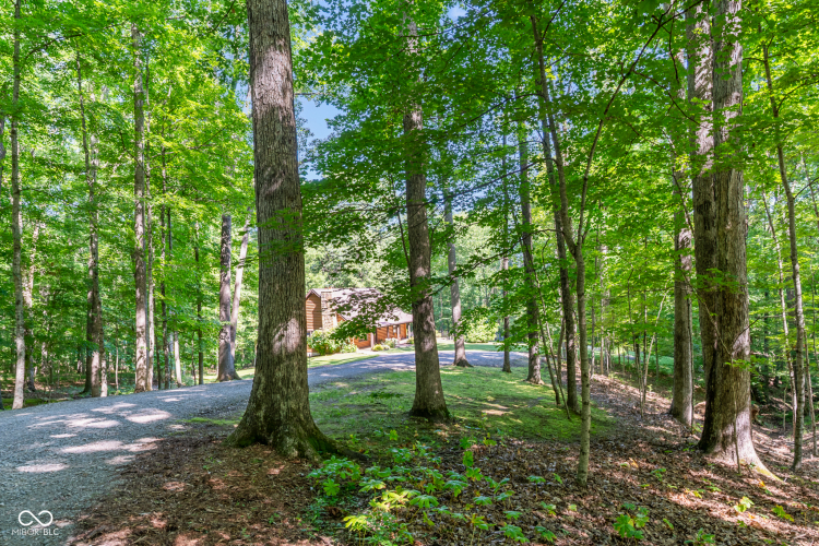 Listing Image 58