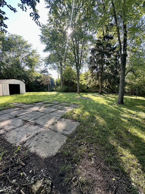 Listing Image 4