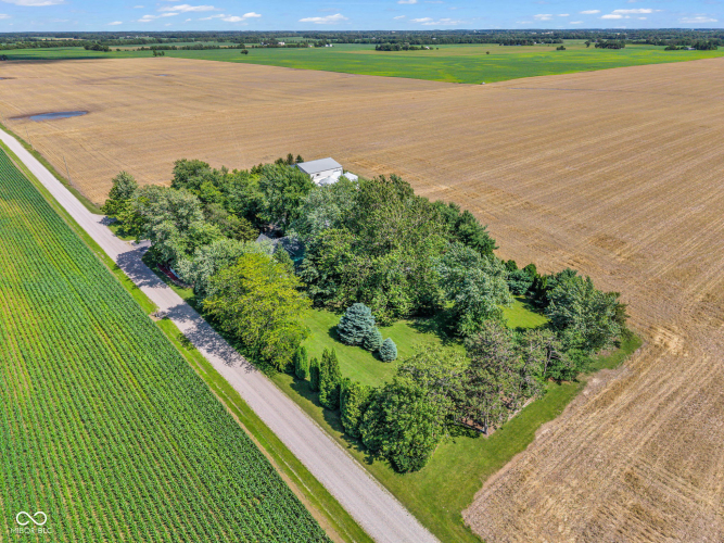 Listing Image 125