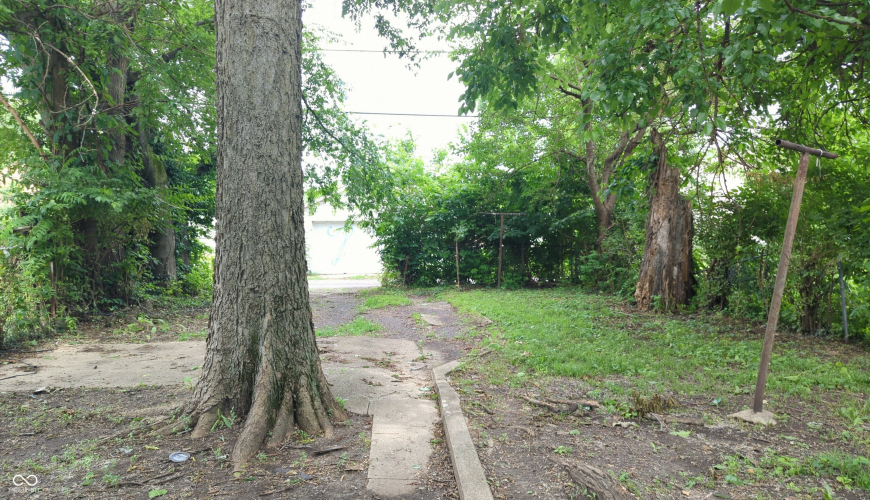 Listing Image 11