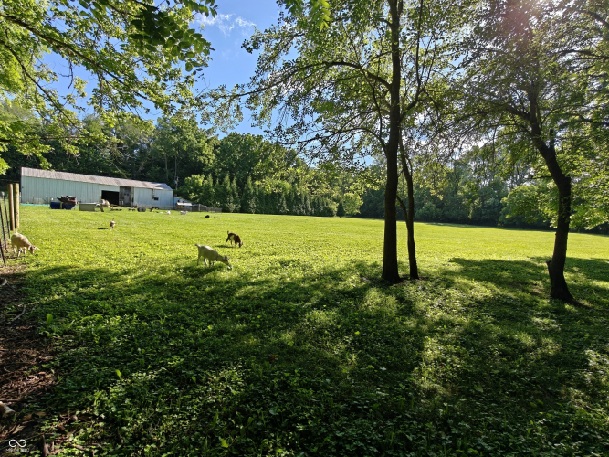 Listing Image 40