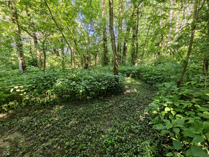 Listing Image 43