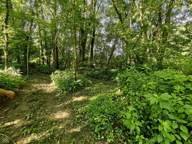 Listing Image 47