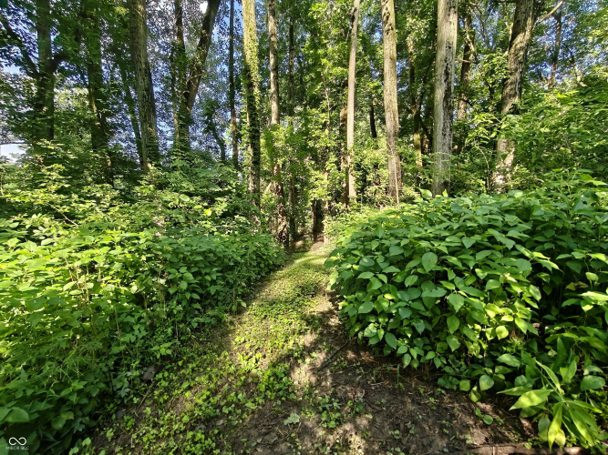 Listing Image 48