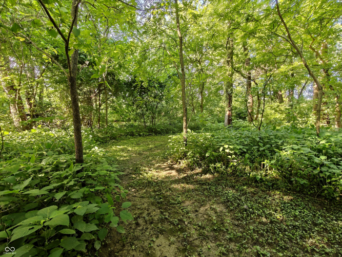 Listing Image 49
