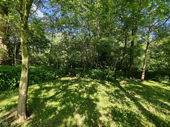 Listing Image 50