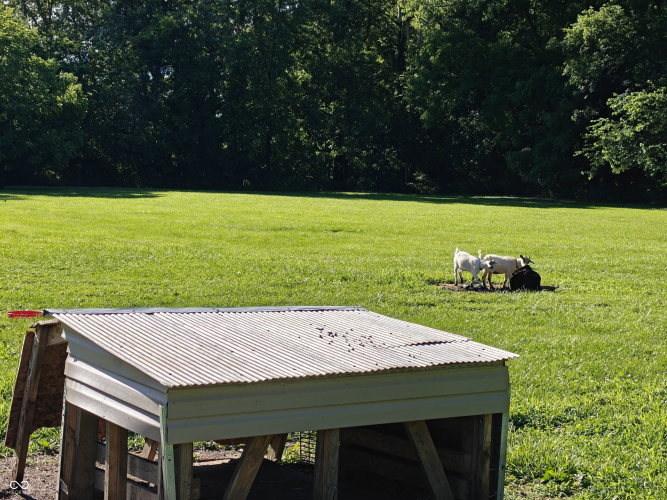 Listing Image 56