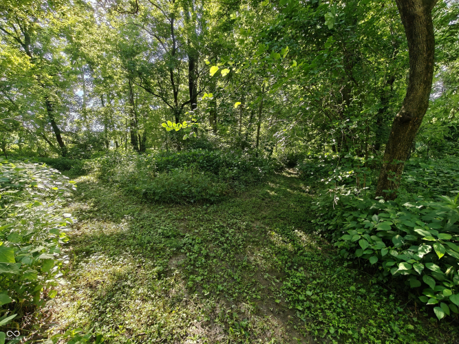 Listing Image 60