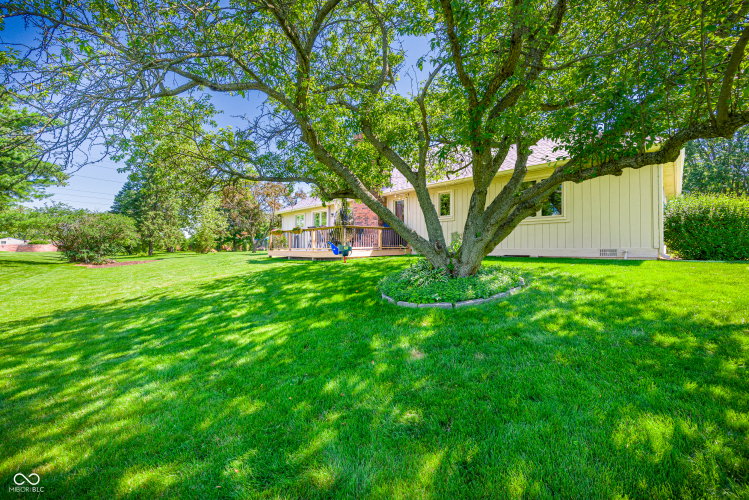 Listing Image 25
